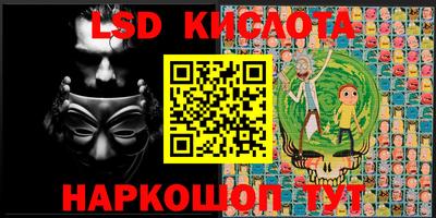 шишки Абакан
