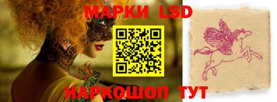шишки Абакан