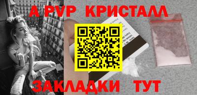 шишки Абакан