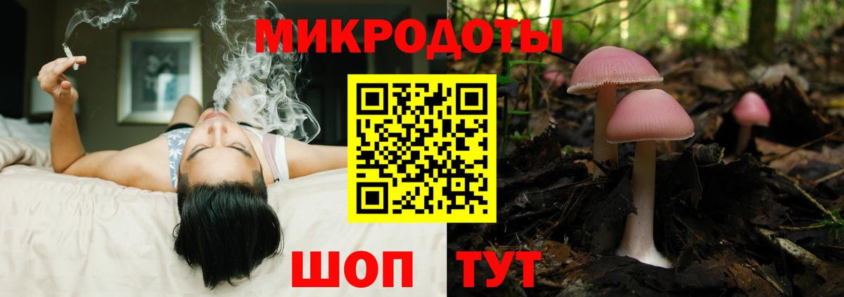 Галлюциногенные грибы Psilocybine cubensis  Вход с VPN  Азнакаево  закладка  Псилоцибиновые грибы прущие грибы 